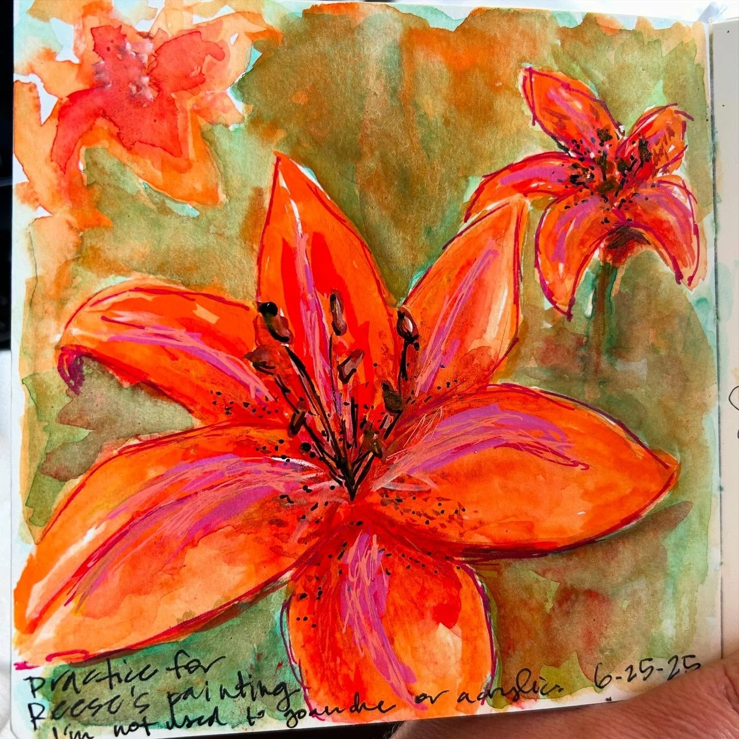 Tiger Lily Sketch