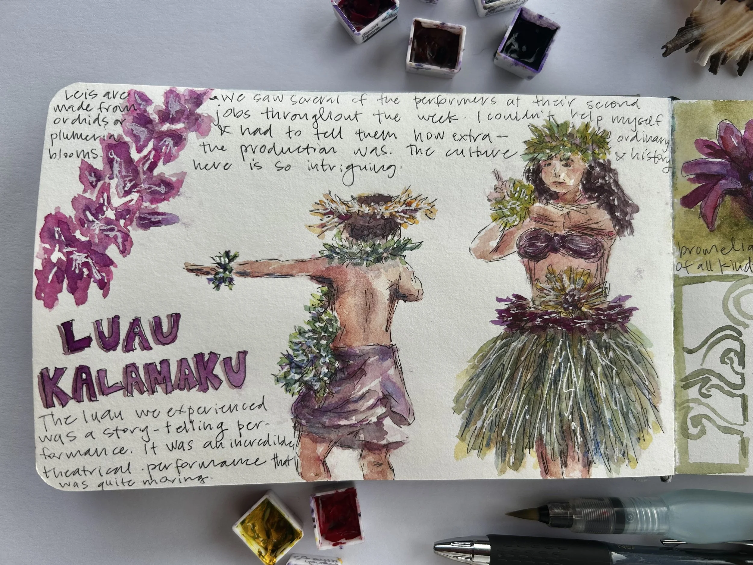 Hawaii Sketching part one