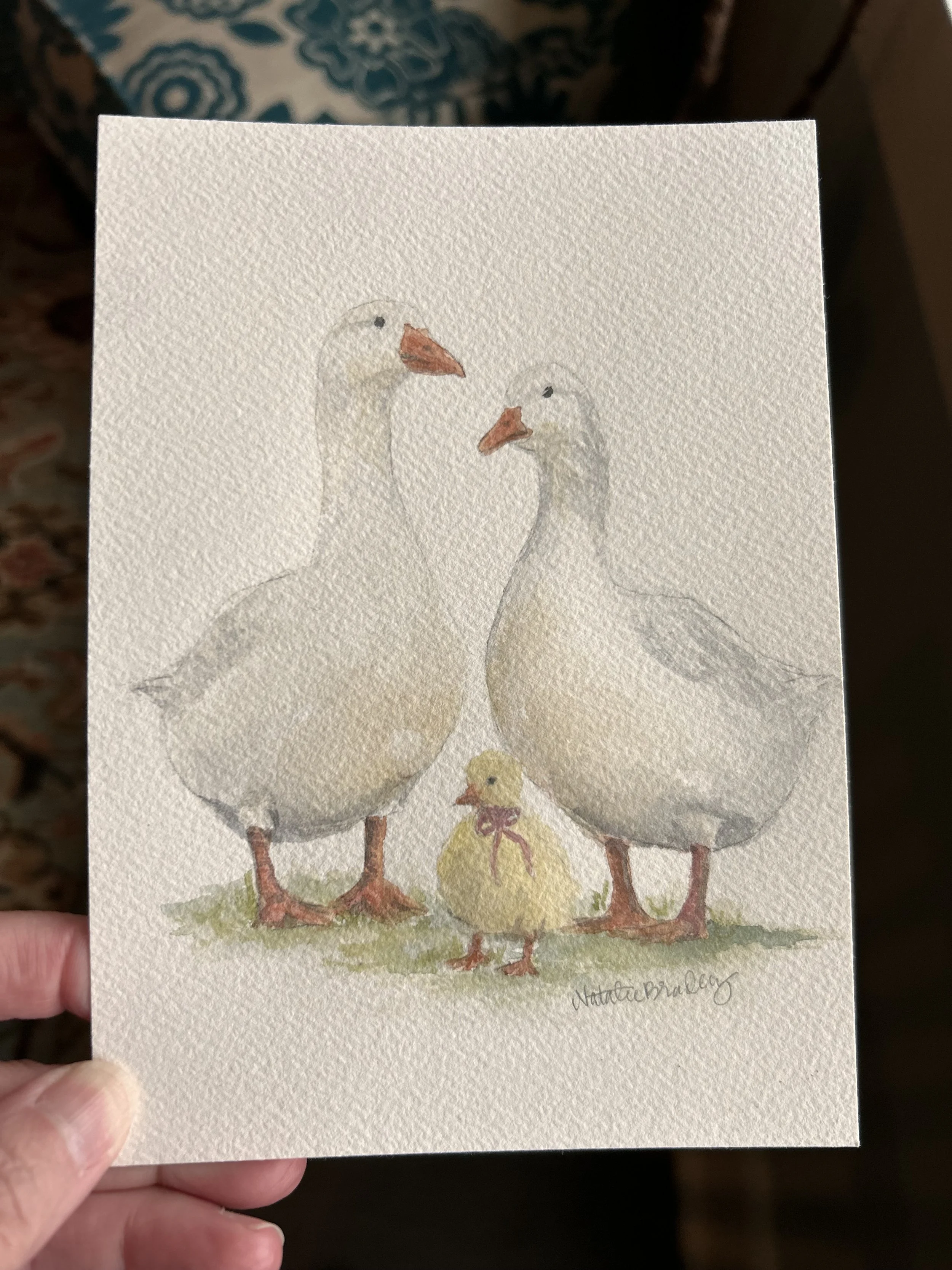 Gaggle of Geese painting watercolor by Natalie Bradley