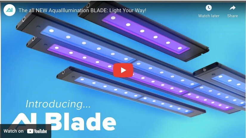 Get the latest tech for your home aquarium with Aquailluminations new blades. Options Available for freshwater and saltwater. Learn more or Order them online here at,

https://reefmagic.fish/aqua-illumination