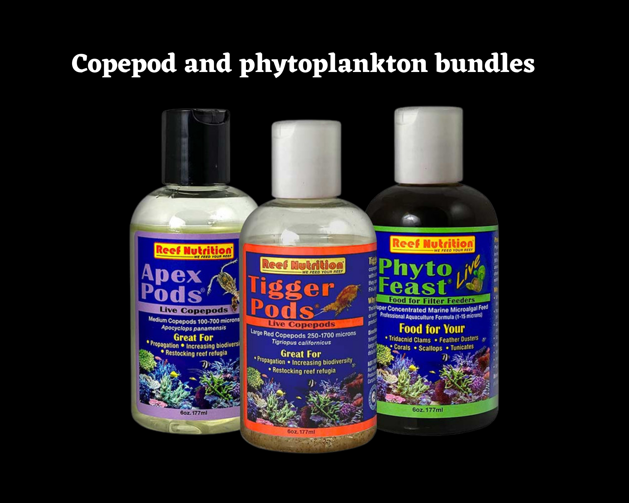 copepod and phytoplankton bundles.png