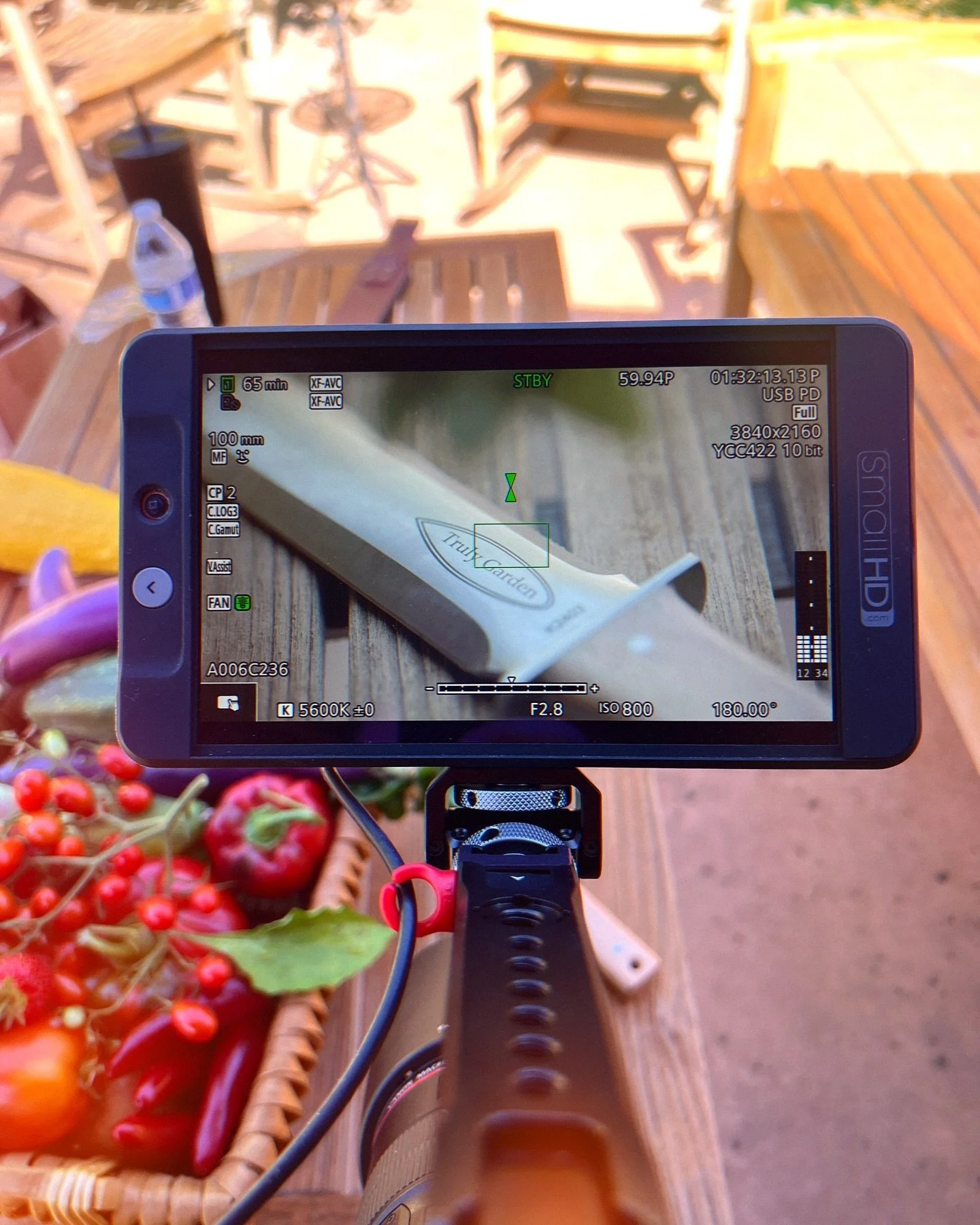 Beautiful day shooting some product ads for @truly_garden 🎥🌞🌿🪴🥬🍅🫑🥕

#setlife #videography #videoproduction #cameraporn #canon #r5c #canonr5c #smallrig #cinematography #sachtler #smallhd @smallhd @sachtlersystems @canonusa @smallrig.global