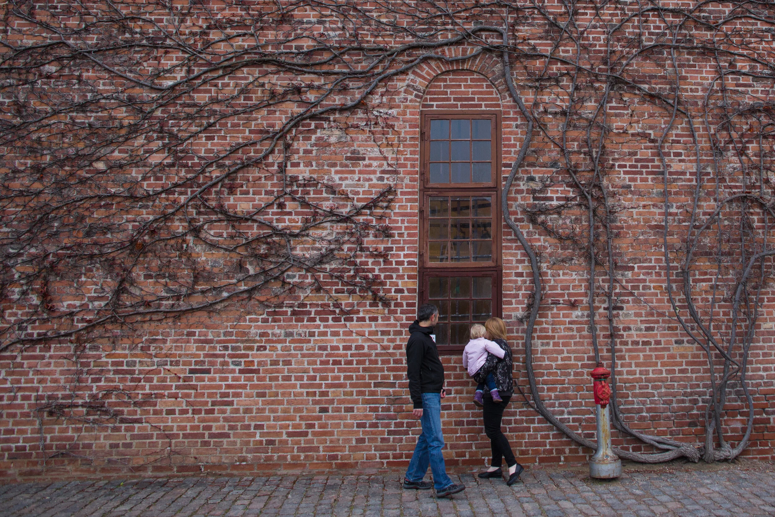 _50A4590.jpg