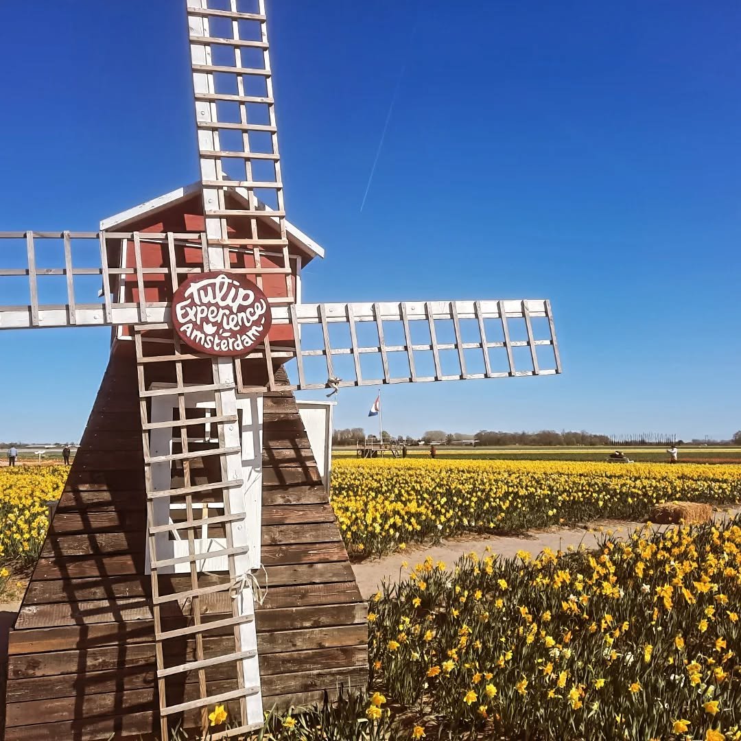 Went to Tulipland (Netherlands). Saw a billion beautiful bulbs. 

A wonderful weekend taking me back to my floral roots. Because from the lesser known facts about Keri files....I once, aged 12, had a bustling side hustle decorating hats with dried fl