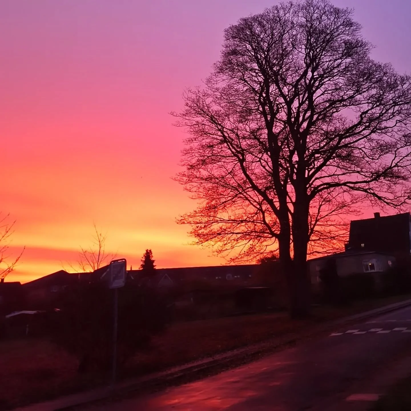 Straight to the pool room with this one.

A cracker 🧨 of sunrise this week which had me for a moment double checking it was just the sun.

Social media posts are few and far between from me these days.  Impending Danish Citizenship Exam in T-12 days