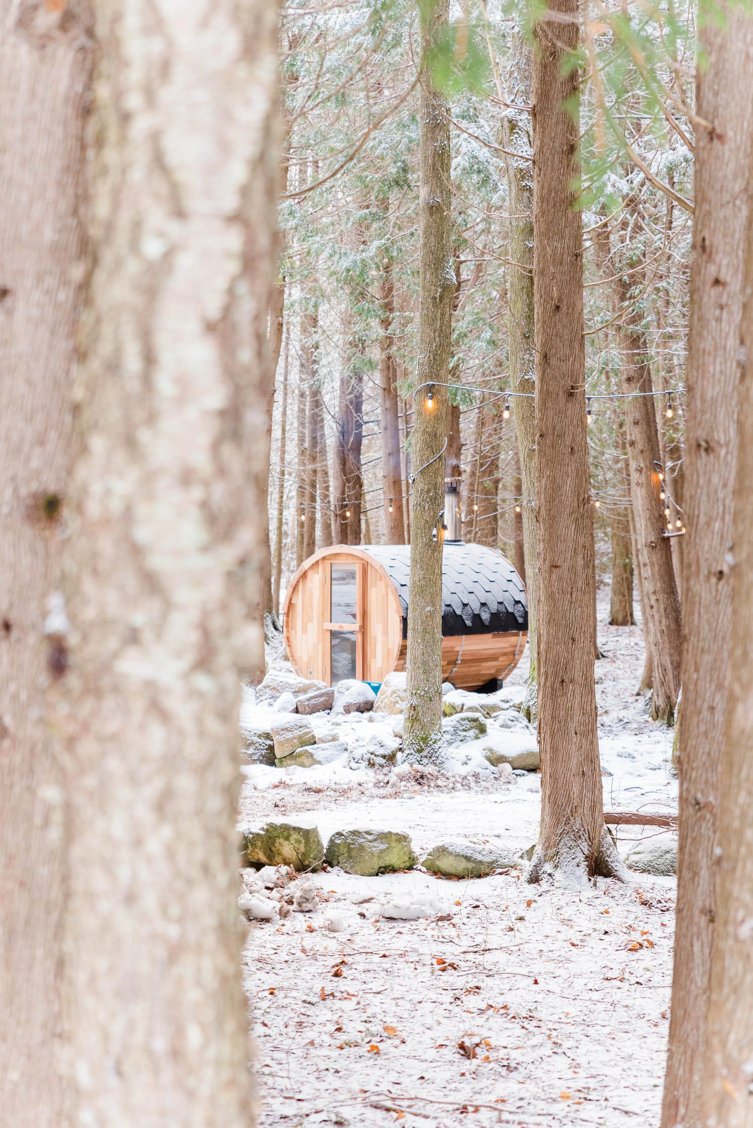 Personal brand photograph of a snow-covered forest with a wooden barrel sauna and string lights