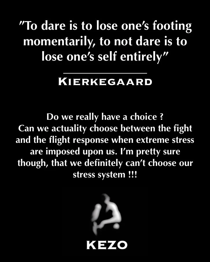 Kierkegaard-on-courage.JPG