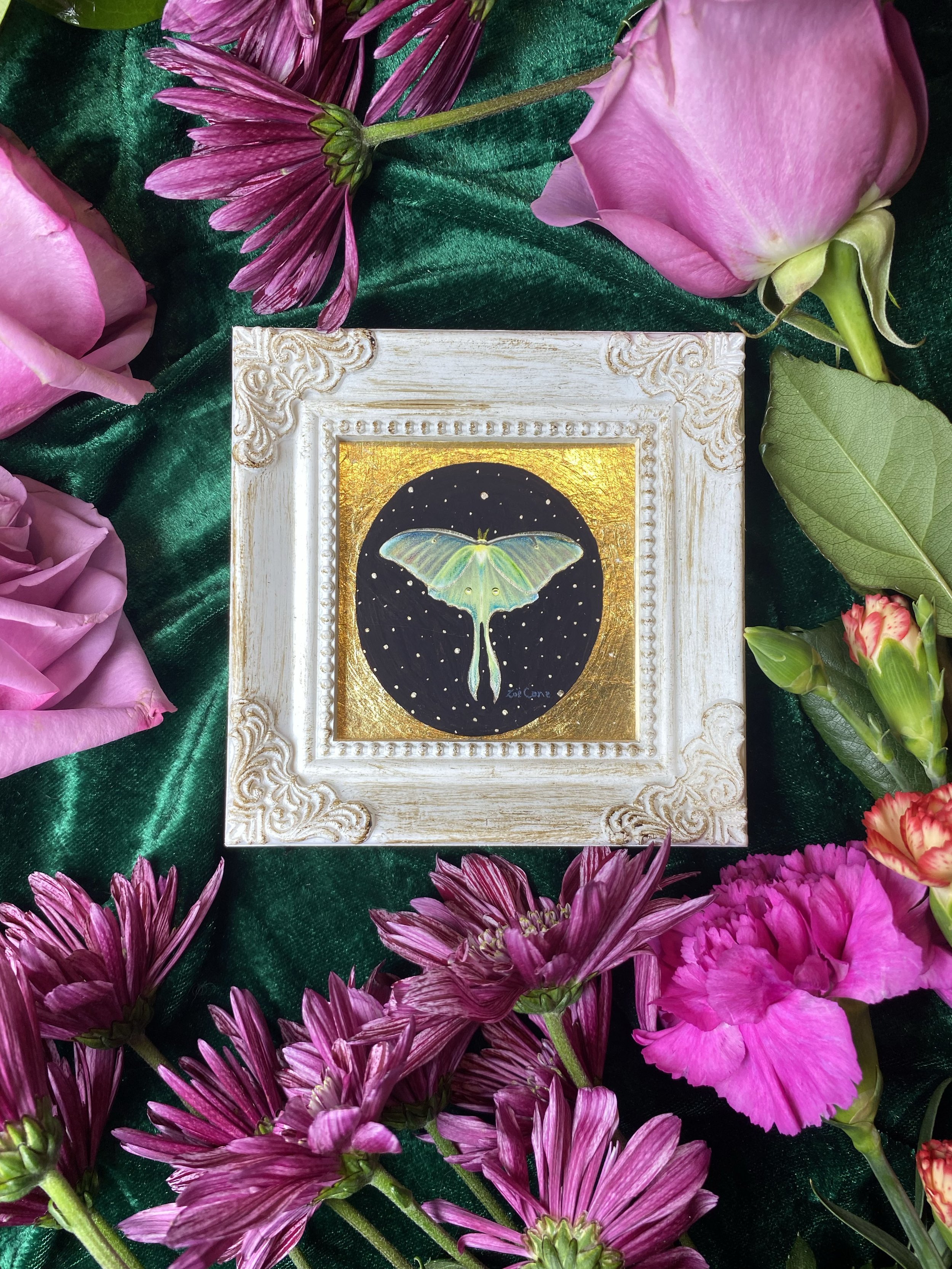 Luna Moth in 24k Gold (Square)