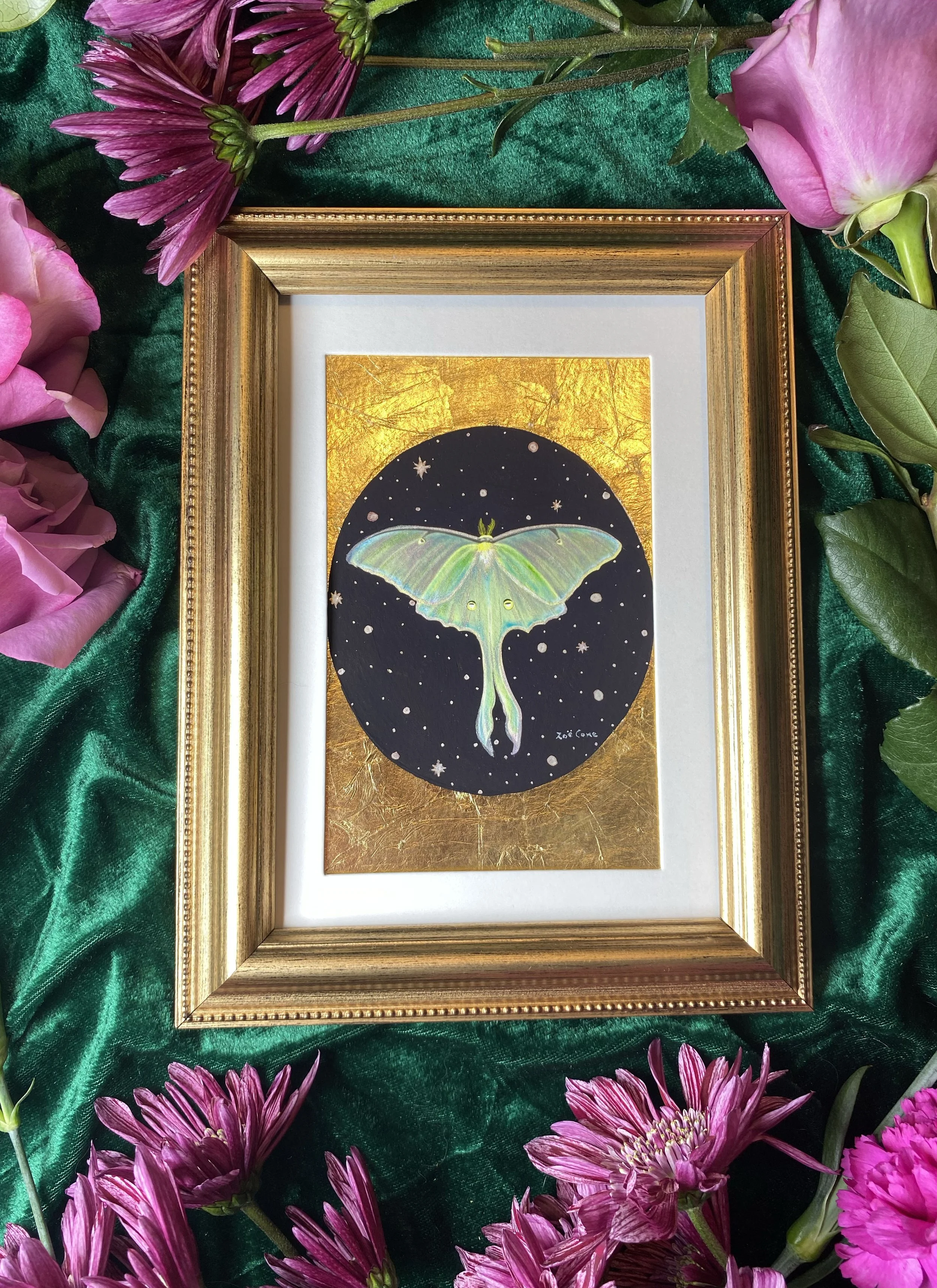 Luna Moth in 24k Gold