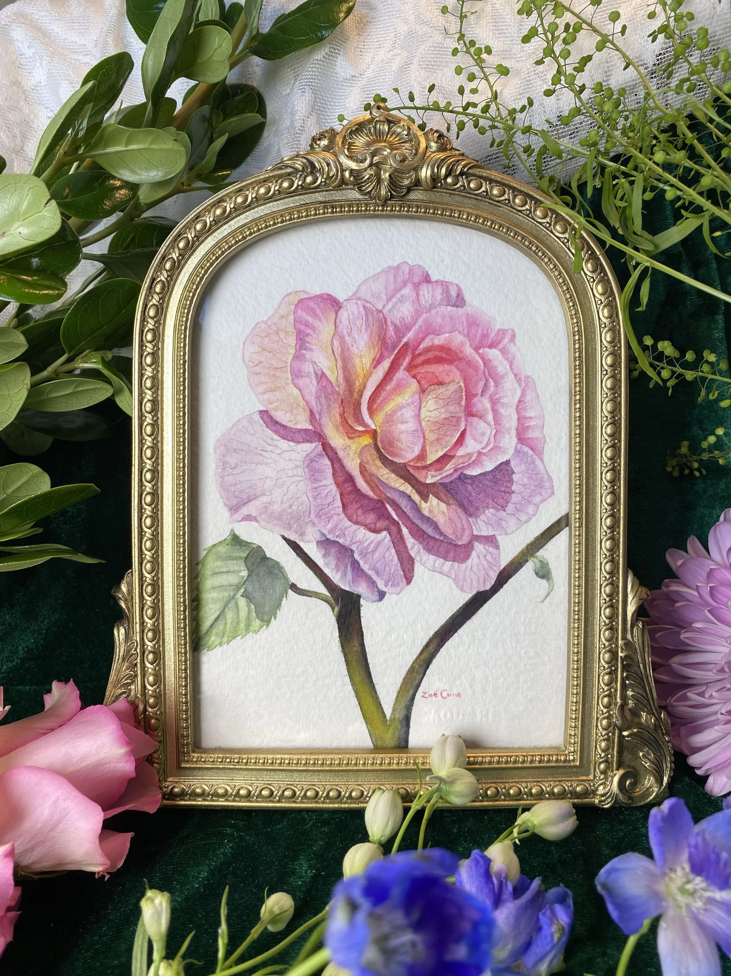 Sunny Day Rose Original Watercolor painting