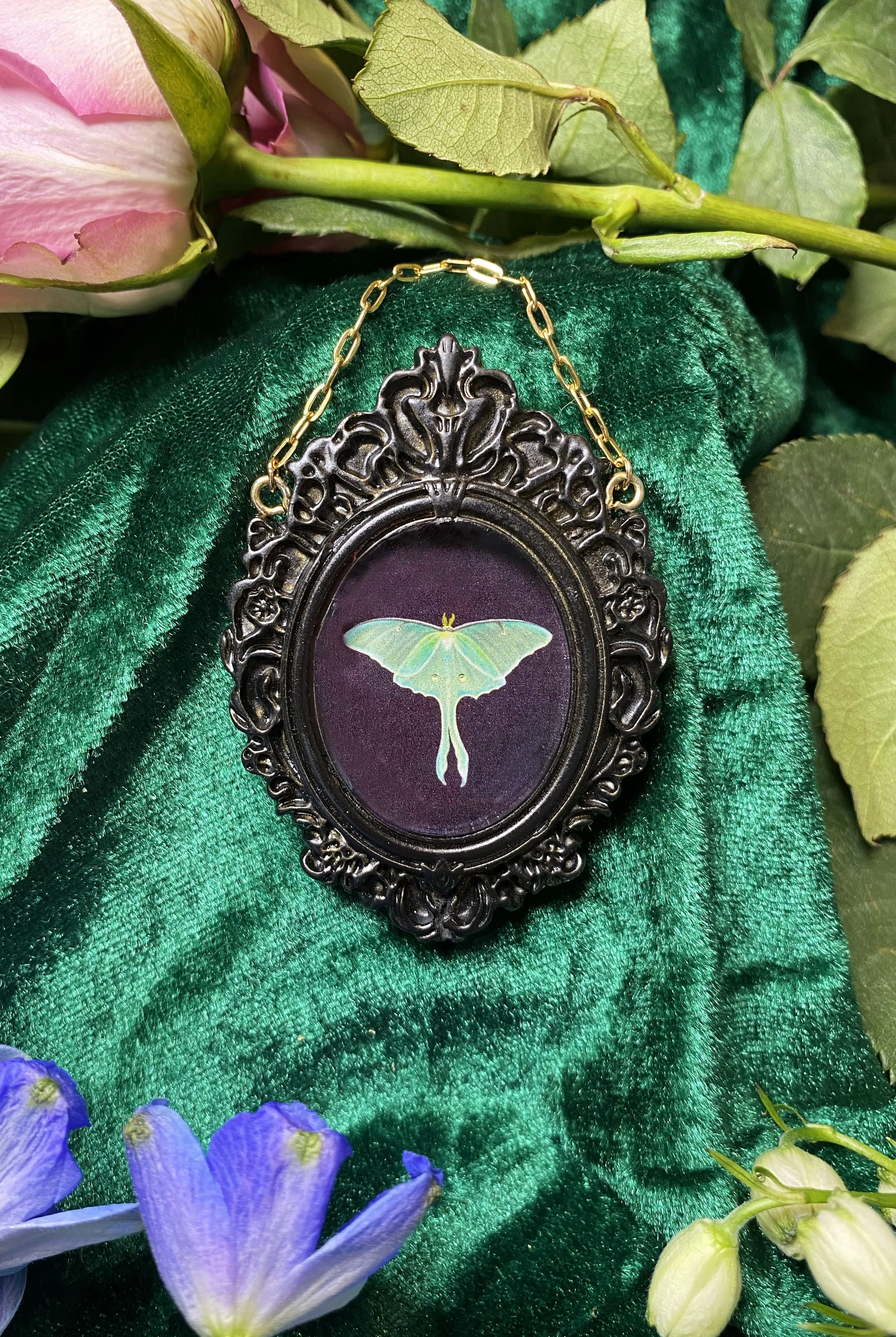 Luna Moth (Black) Wall Jewel