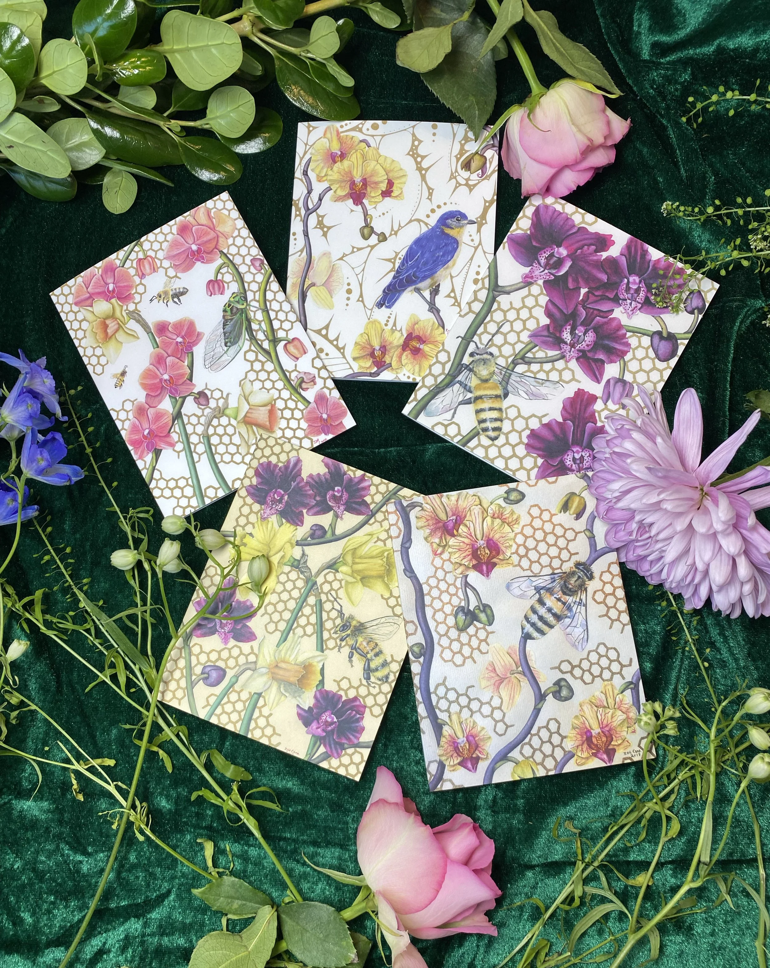 Honey Bee Series Greeting Cards