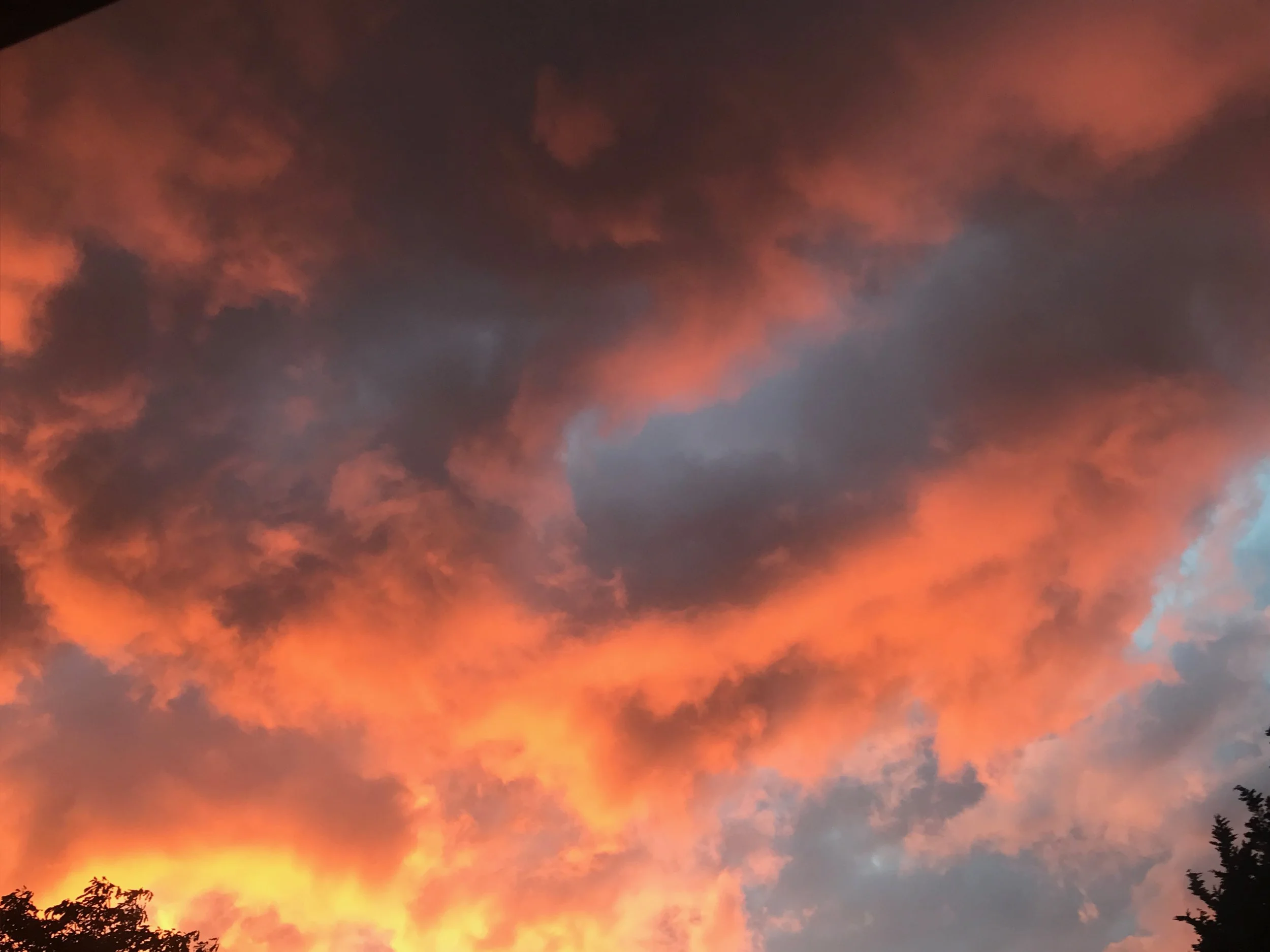 photography11.jpeg