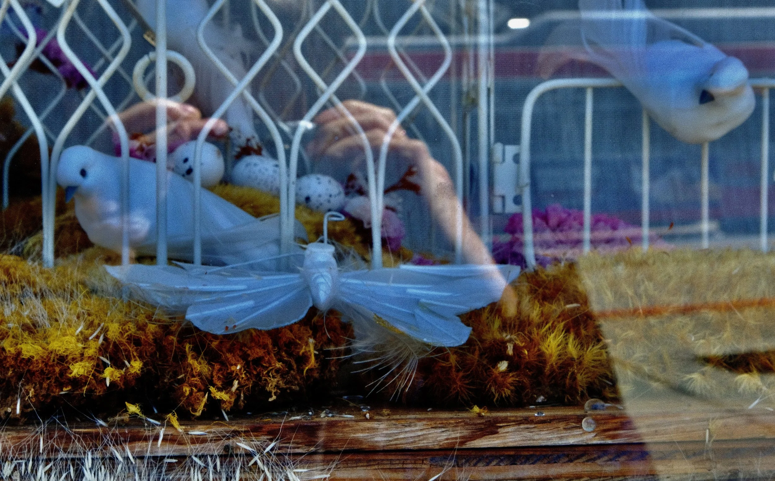 photography6.jpeg