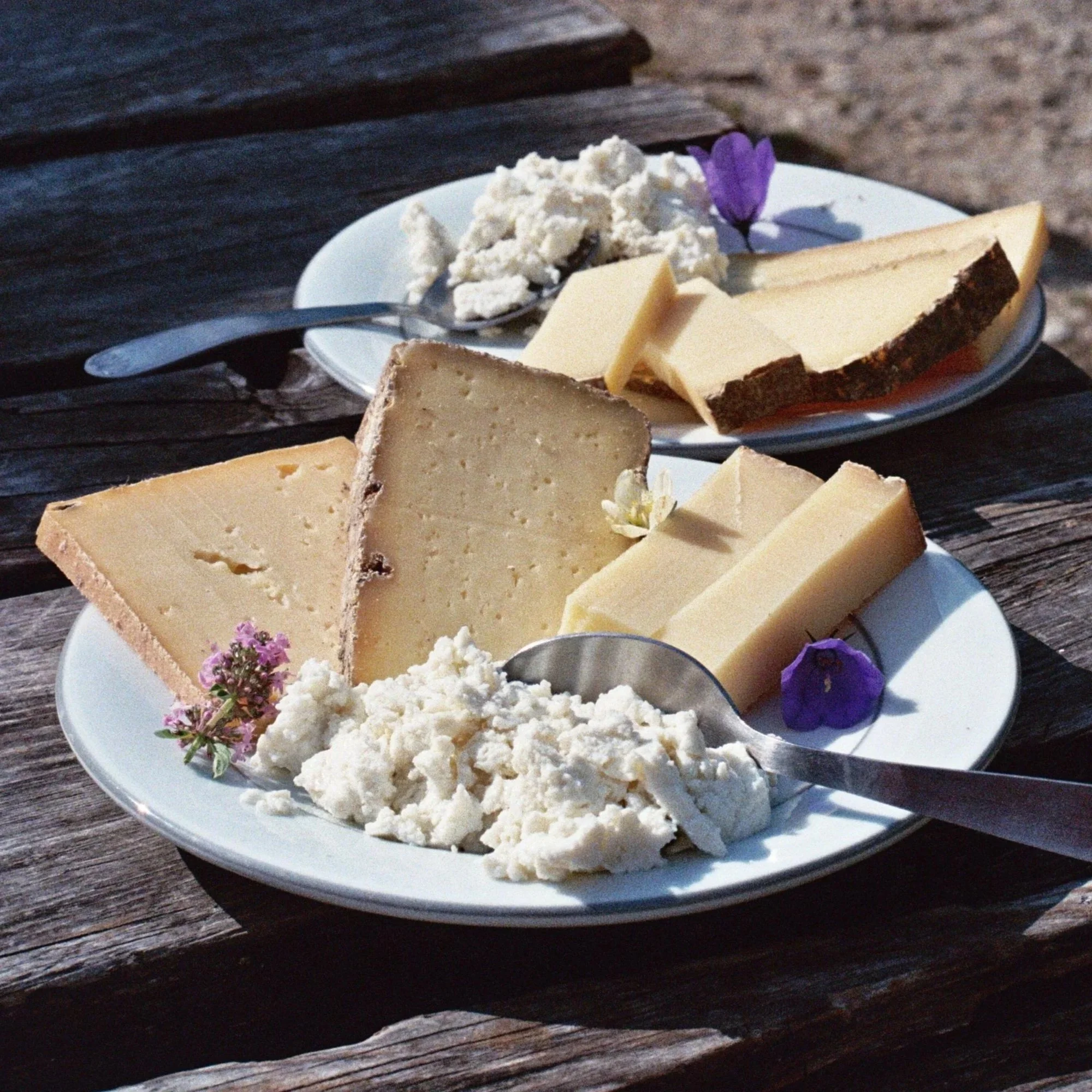 Fromages d'alpage