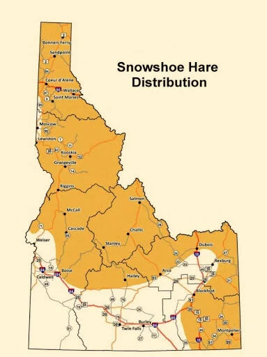 Idaho Rabbit Map Rabbit — Go Hunt Idaho