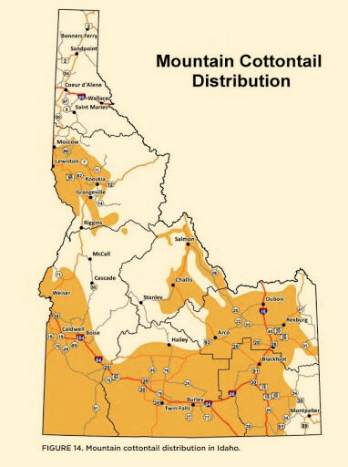 Idaho Rabbit Map Rabbit — Go Hunt Idaho