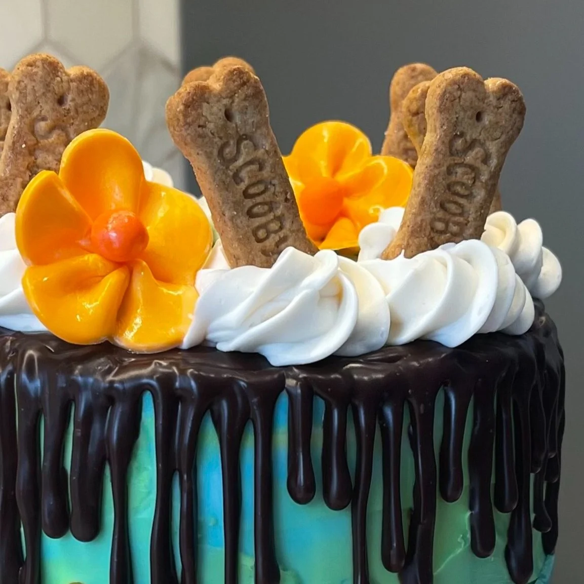 What's new, Scooby Doo?