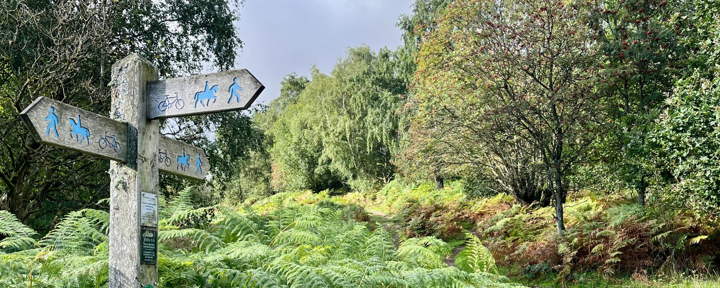 Bridleways, byways, access and bikes