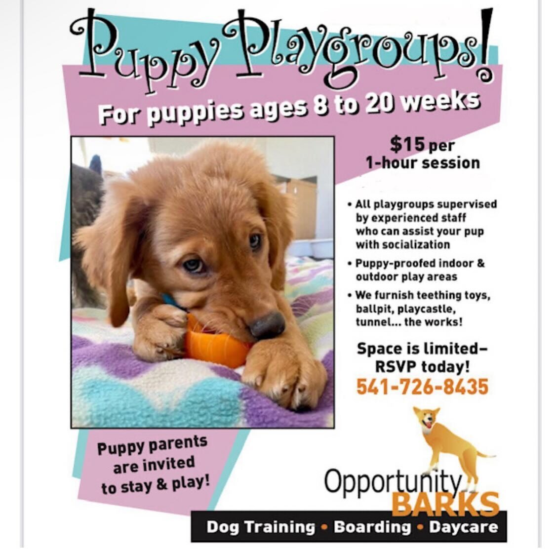 We&rsquo;re excited to announce we&rsquo;re bringing back our Puppy Playgroups! We&rsquo;ve really missed doing them (because of course, what a job perk, a room full of puppies!!!) and we&rsquo;re so looking forward to helping everyone&rsquo;s tiny f