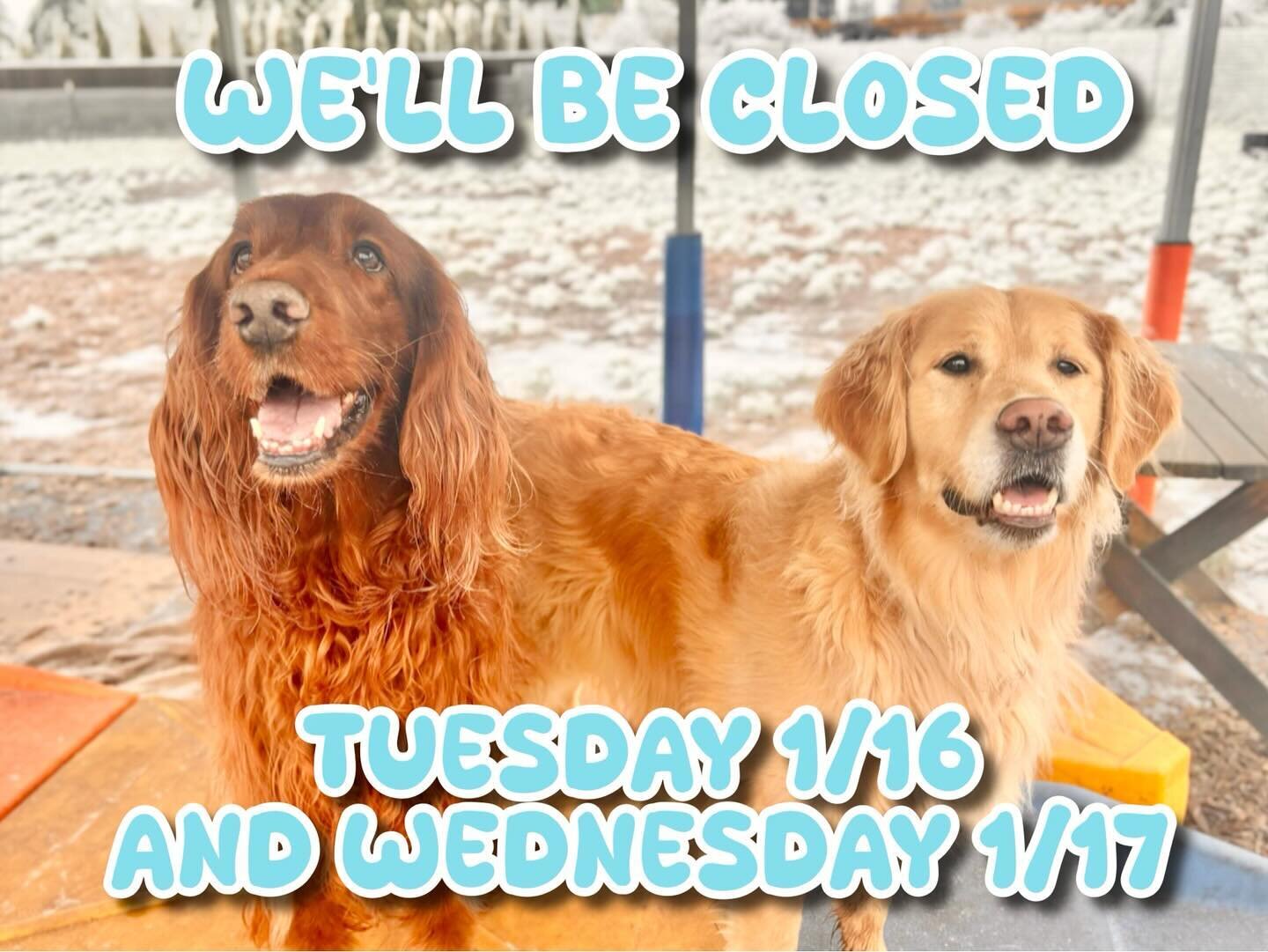 For safety reasons, as well as limited staff availability, we&rsquo;re going to have to close tomorrow the 16th and Wednesday the 17th. We&rsquo;re going to miss all of your pups, but I imagine almost no one is leaving their houses now anyway, so thi