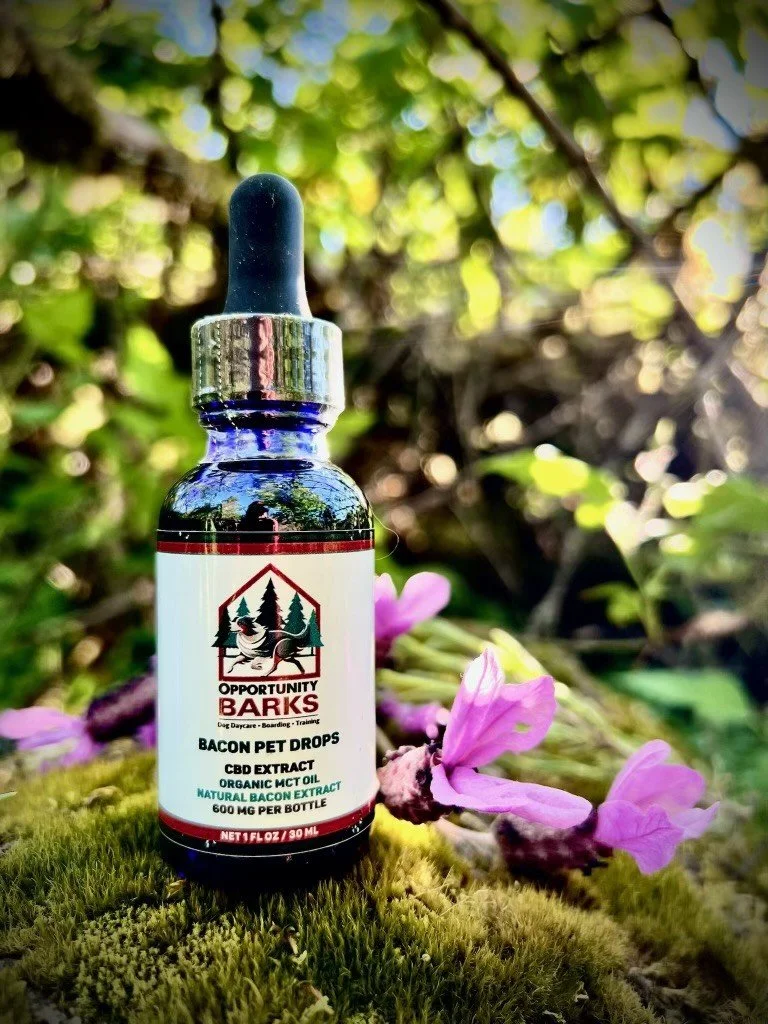 CBD4.jpg