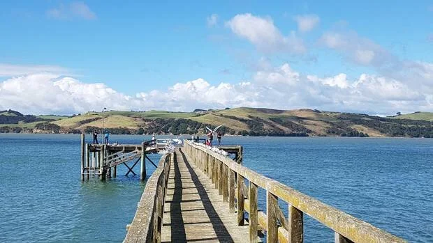 $100m to clean up Kaipara Harbour welcomed by all