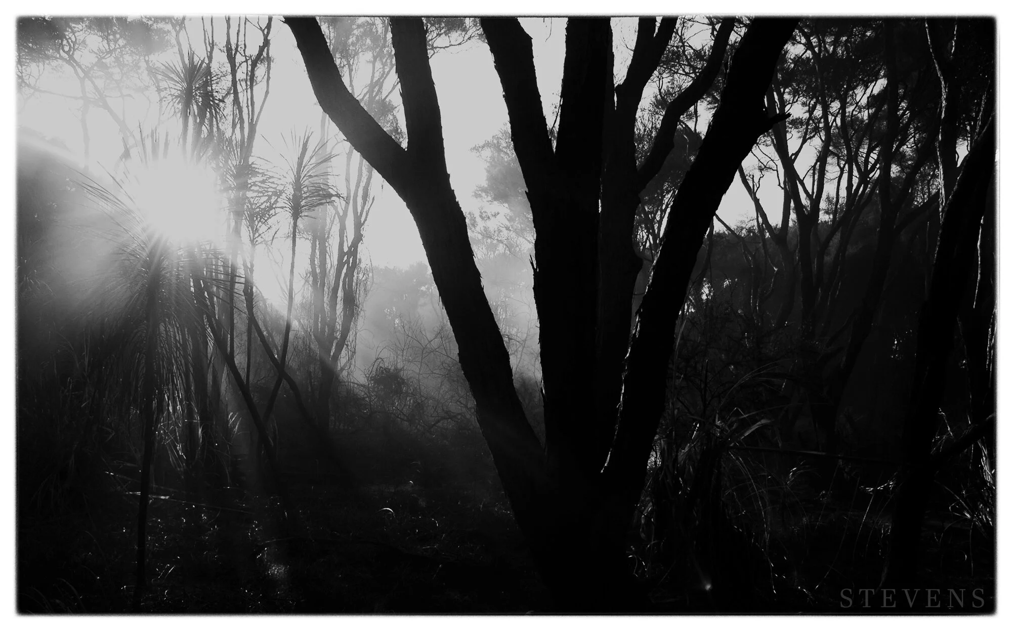 Tapora Fire - February 2013