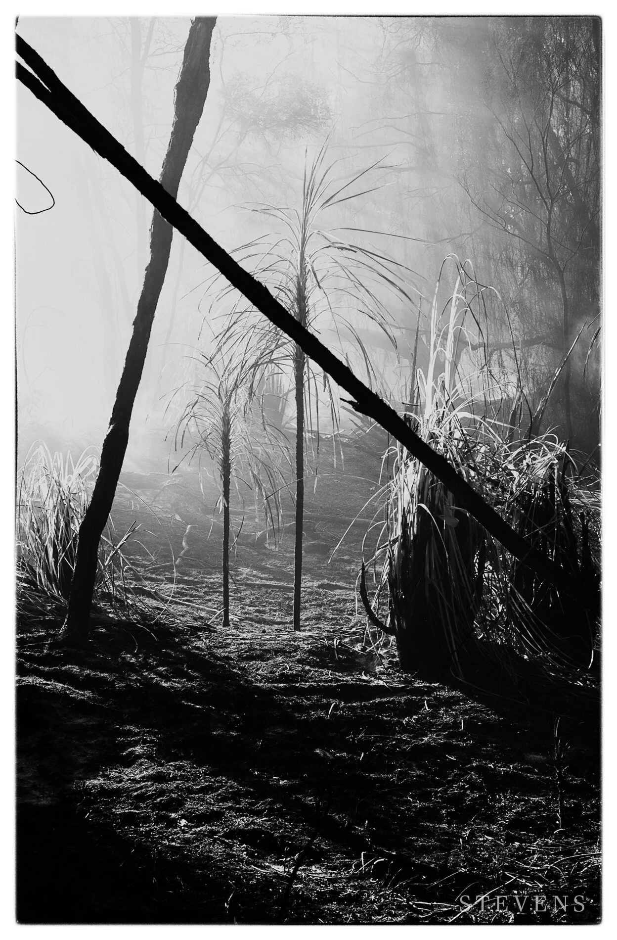 Tapora Fire - February 2013