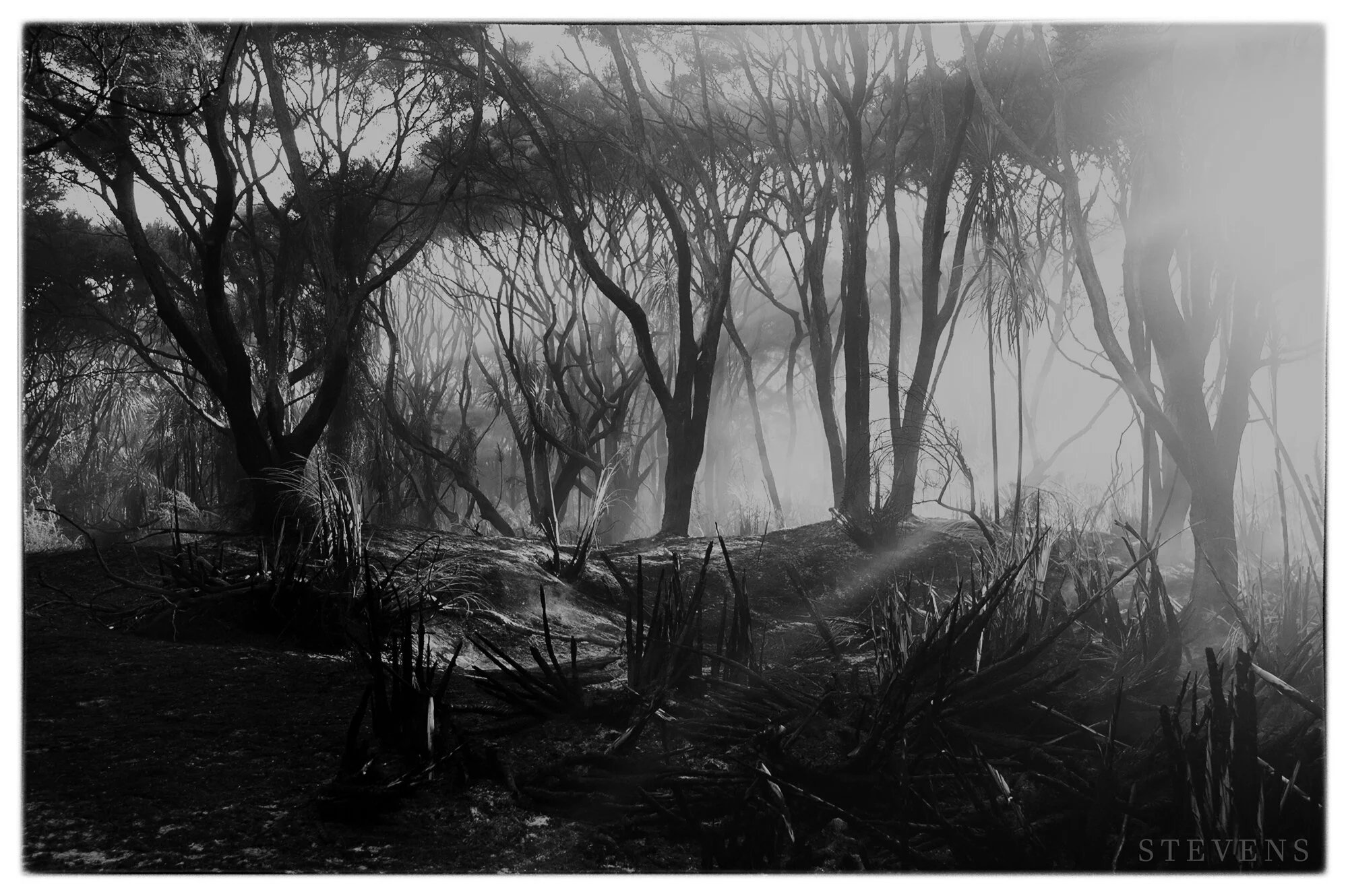 Tapora Fire - February 2013