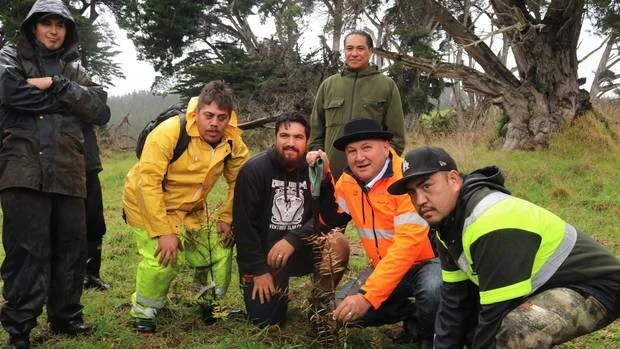 Shane Jones announces $1.18m to help Northland hapū and iwi restore whenua and moana - NZ Herald