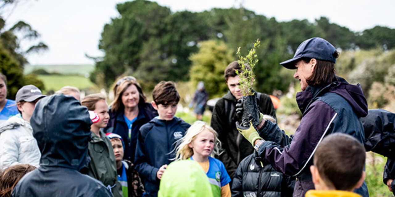 Planting Day  - Trees for Survival and Tapora School CANCELED DUE TO COVID LOCKDOWN