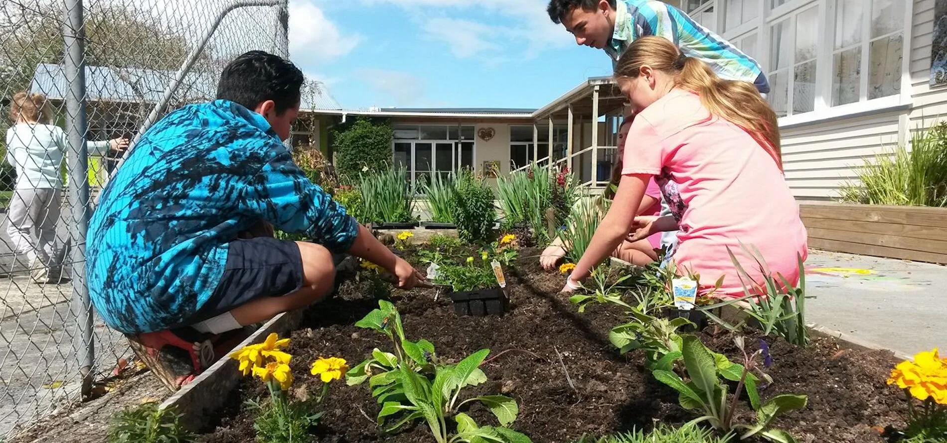 Tapora school planting.jpg