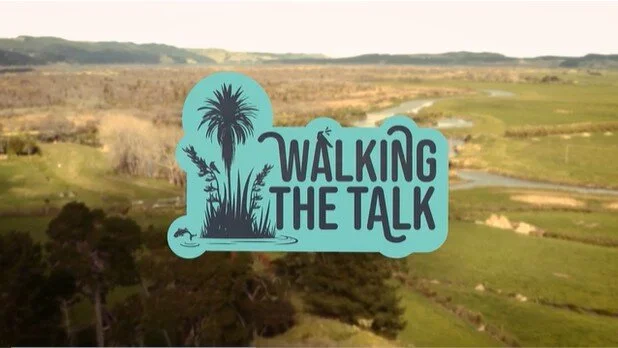 A great story from The Vision is Clear - From willows to whitebait.