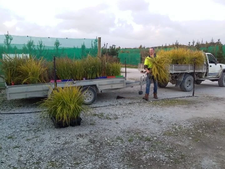 TAPORA LAND AND COAST CARE GROUP PLANTING DAYS SATURDAY 26 AND MONDAY 28