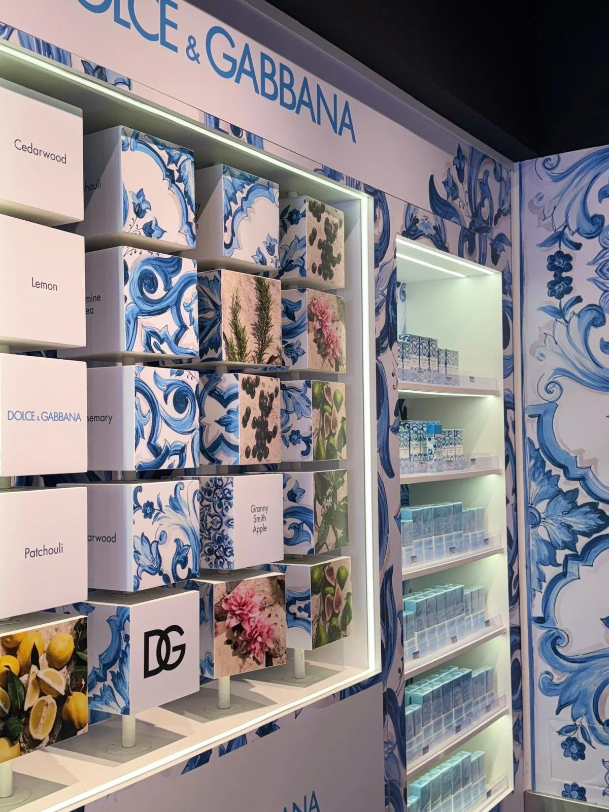 WhatsApp Image 2025-10-06 at 16.51.17.jpeg