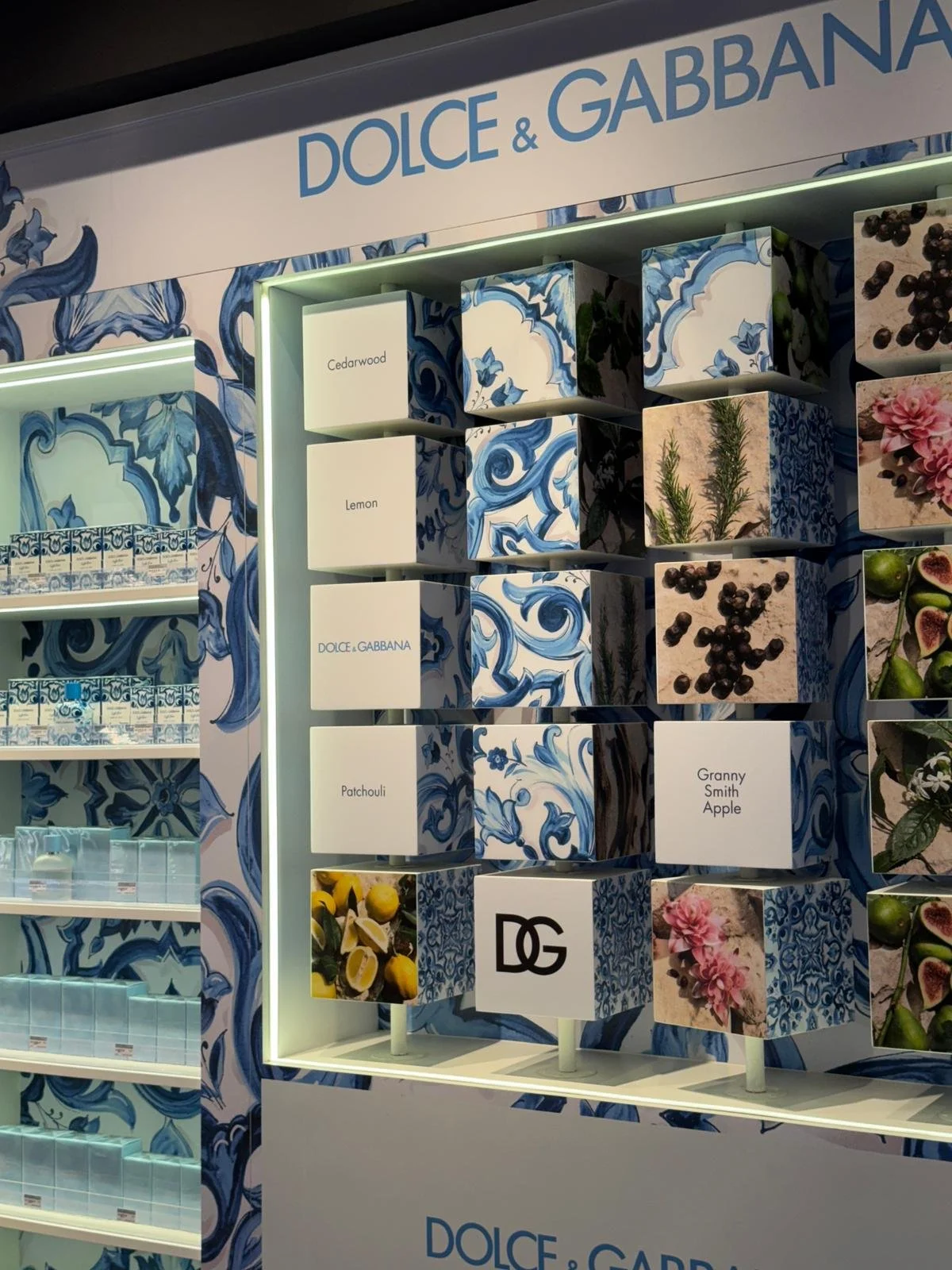 WhatsApp Image 2025-10-06 at 16.51.18.jpeg