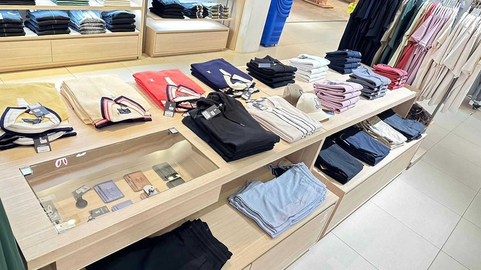 WhatsApp Image 2026-03-10 at 12.11.31.jpeg