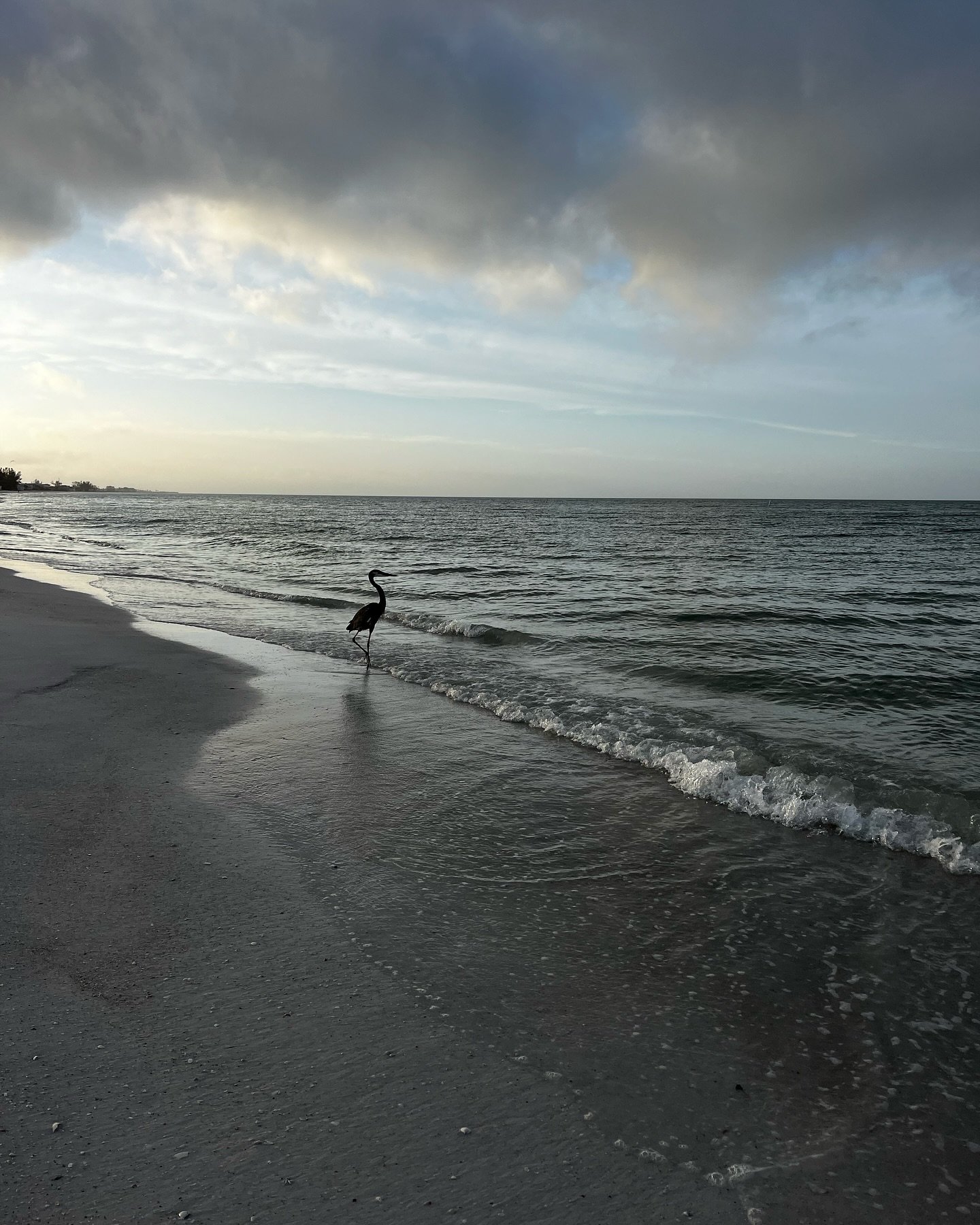 I keep looking for &ldquo;artsy&rdquo; photos to post and allowing myself to just not post when I don&rsquo;t have any on the surface.  As if I have to stick to a theme?  As if instagram only works if it&rsquo;s &ldquo;insta&rdquo;? I dunno&hellip; s