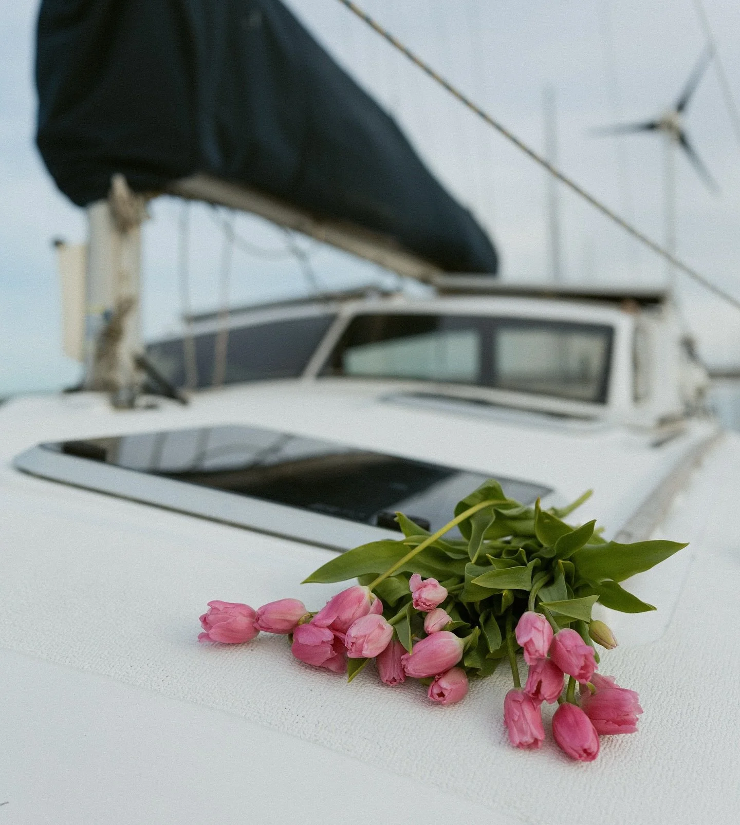 when there&rsquo;s so much unshared content from this year you don&rsquo;t even know where to begin&hellip;&hellip;so anywho here are some pretty tulips on a sailboat to start ⛵️

#charleston #charlestonsc #charlestonphotographer #scphotographer #ncp