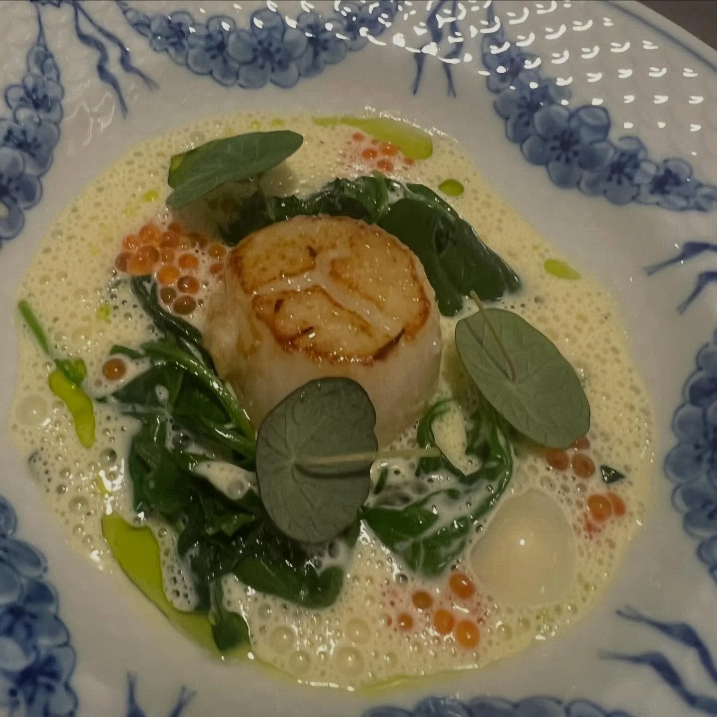 F&oslash;dselsdags-forret, stor smuk kammusling❤️ #bistroteket #11&aring;r #bistroteketranders #restaurant #restaurantiranders spisranders mitranders visitranders visitoestjylland vihardethele visitaarhusregionen s&aelig;son randerscity