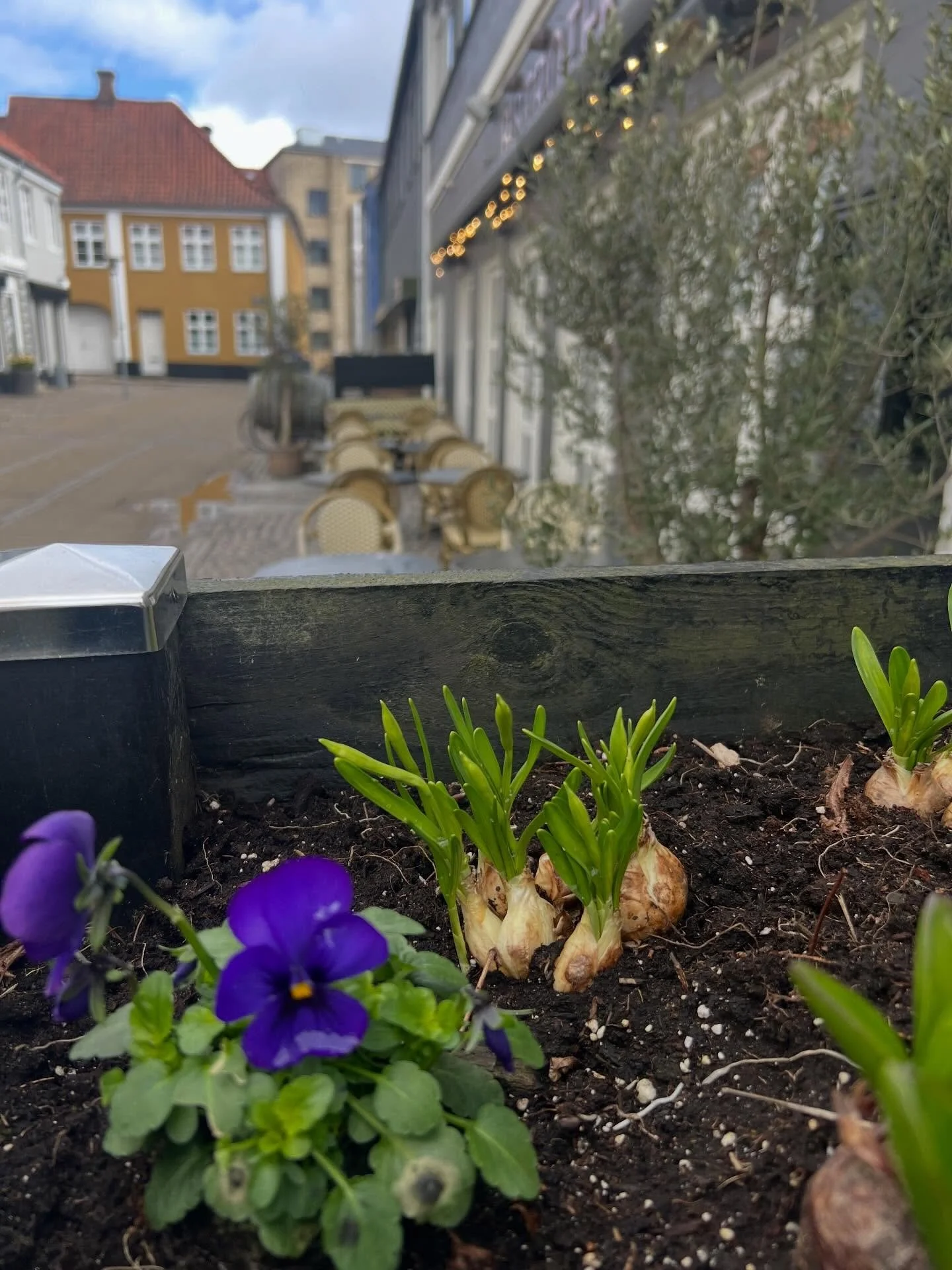 Ses vi i p&aring;sken? Vi har &aring;bent tirsdag til l&oslash;rdag og p&aring;skefrokost torsdag, fredag og l&oslash;rdag. T&aacute; familien med til en hyggestund p&aring; Bistroteket #bistroteketranders #restaurantiranders #bistroteket #spisrander