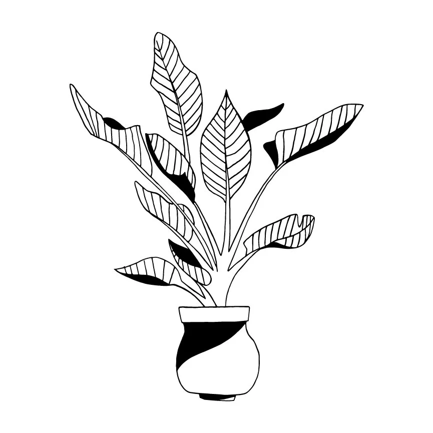 Jimison_Logo_Artwork-09.jpg