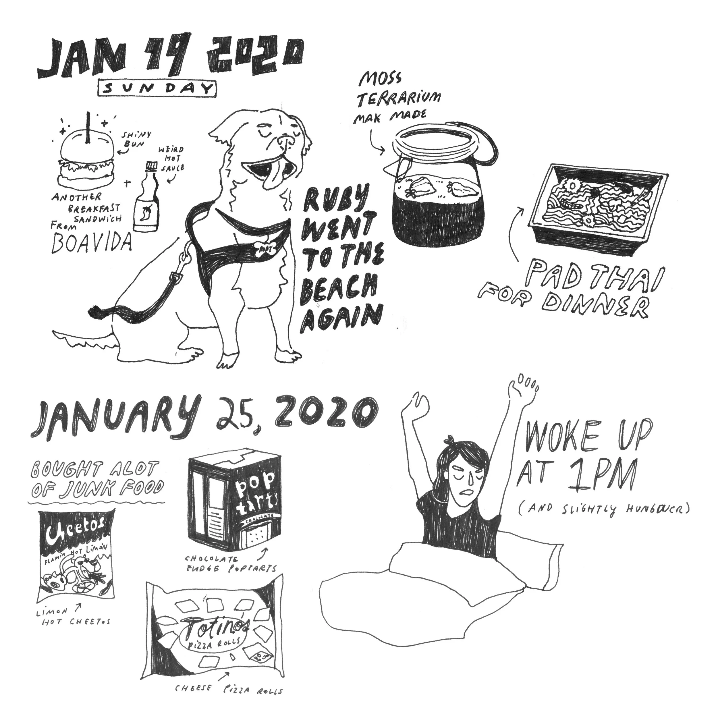journal page 2.jpg