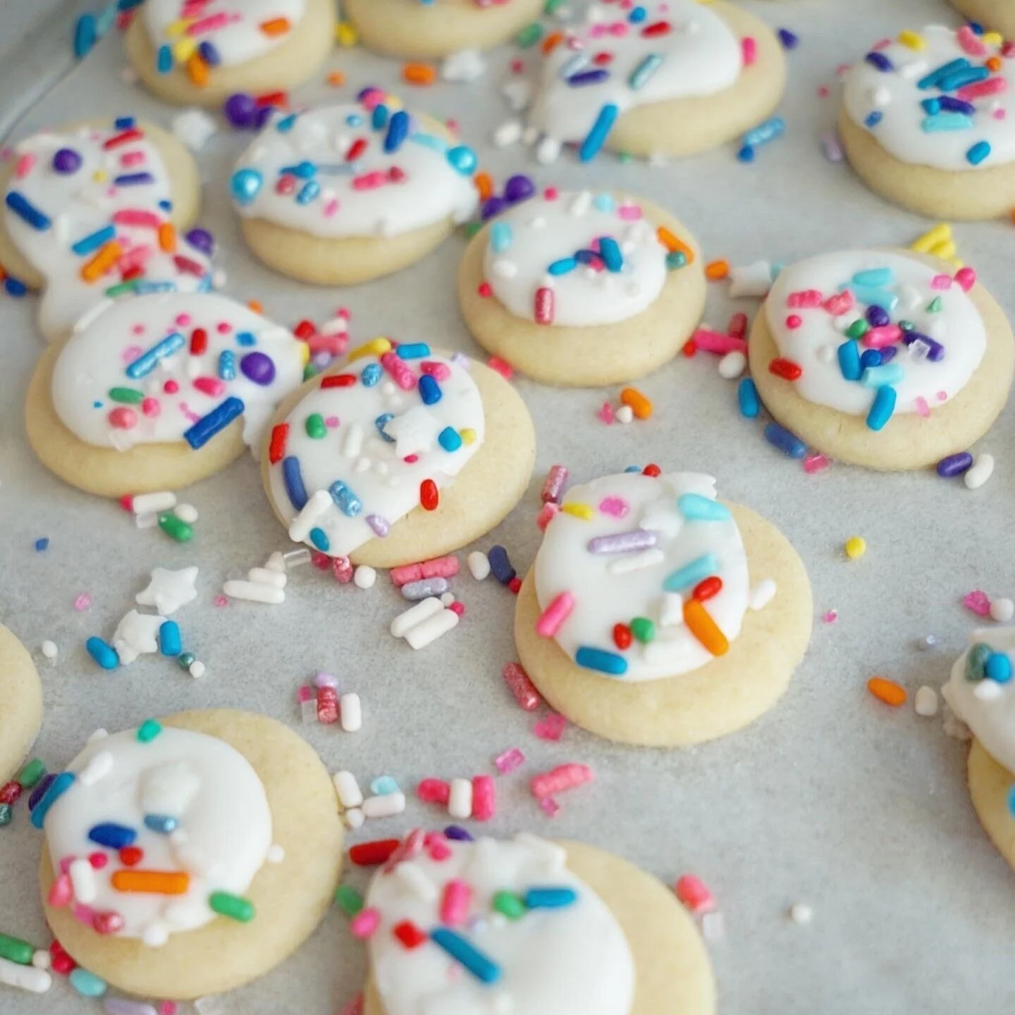 01-contact header.jpg