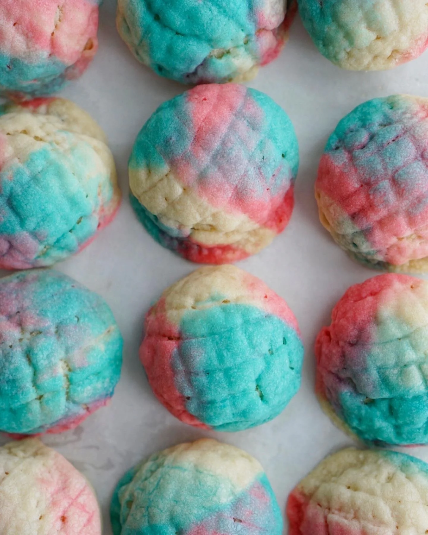 Trans Pride Conchas 4.jpeg