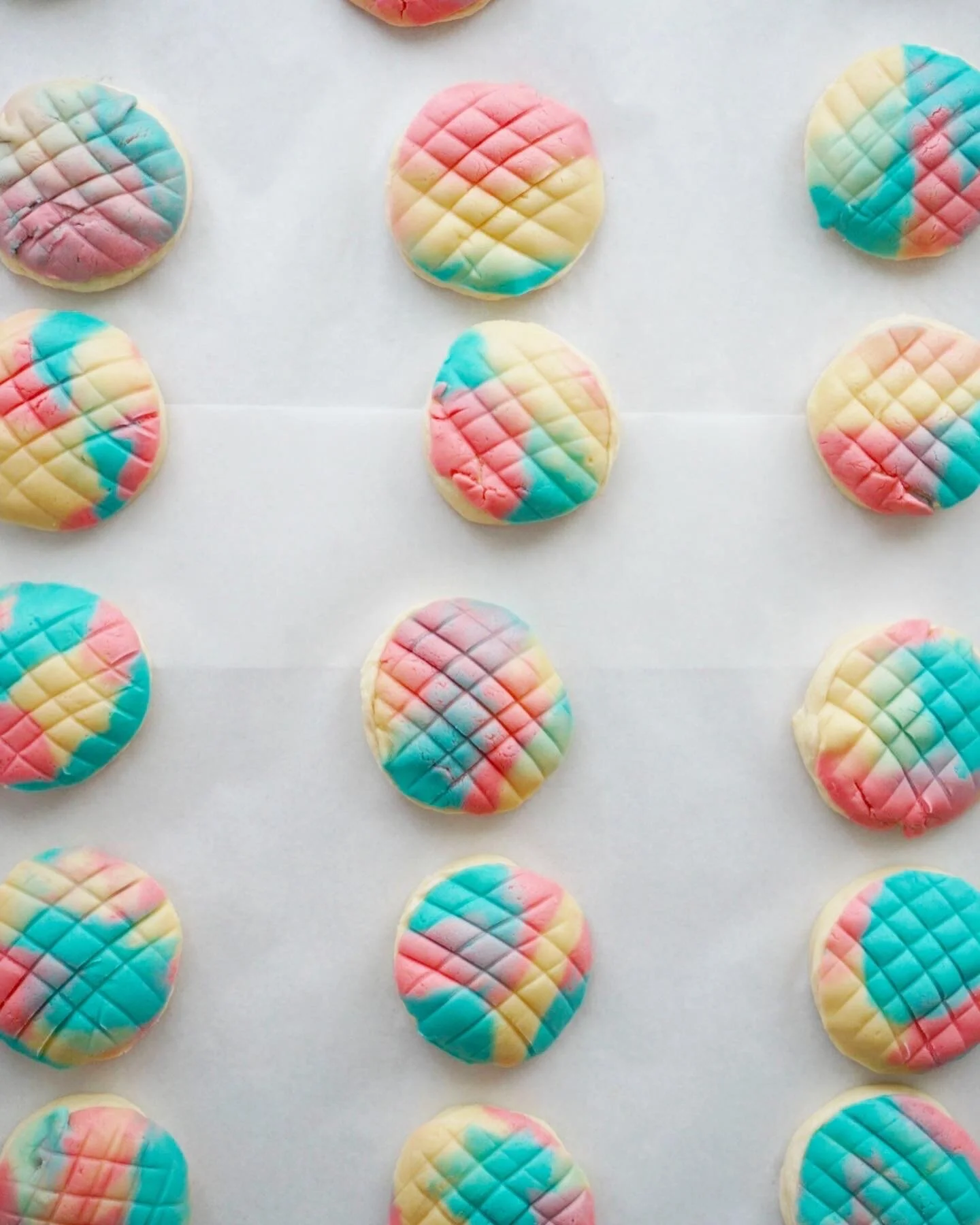 Trans Pride Conchas 6.jpeg