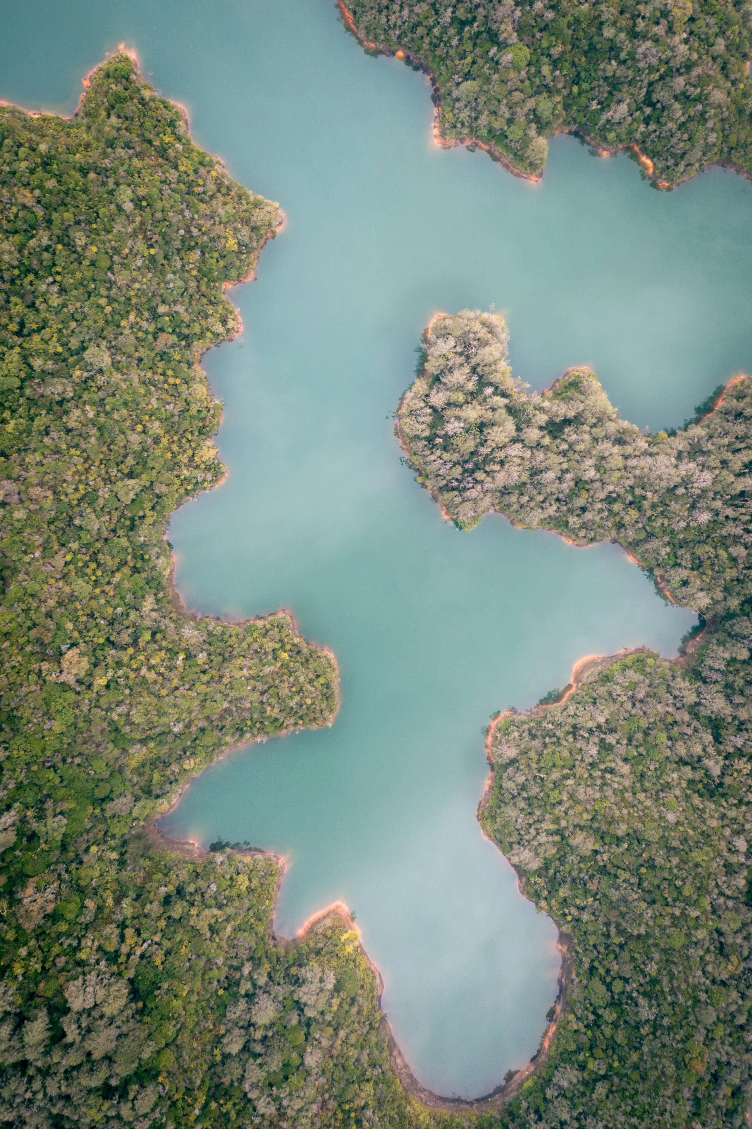 DJI_0603-Улучшено-Ум. шума.jpg