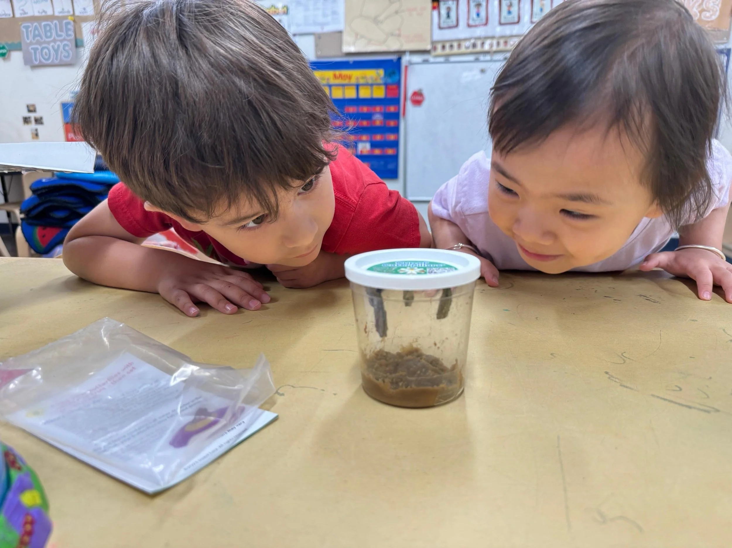 Copy of IMG_9176.JPG