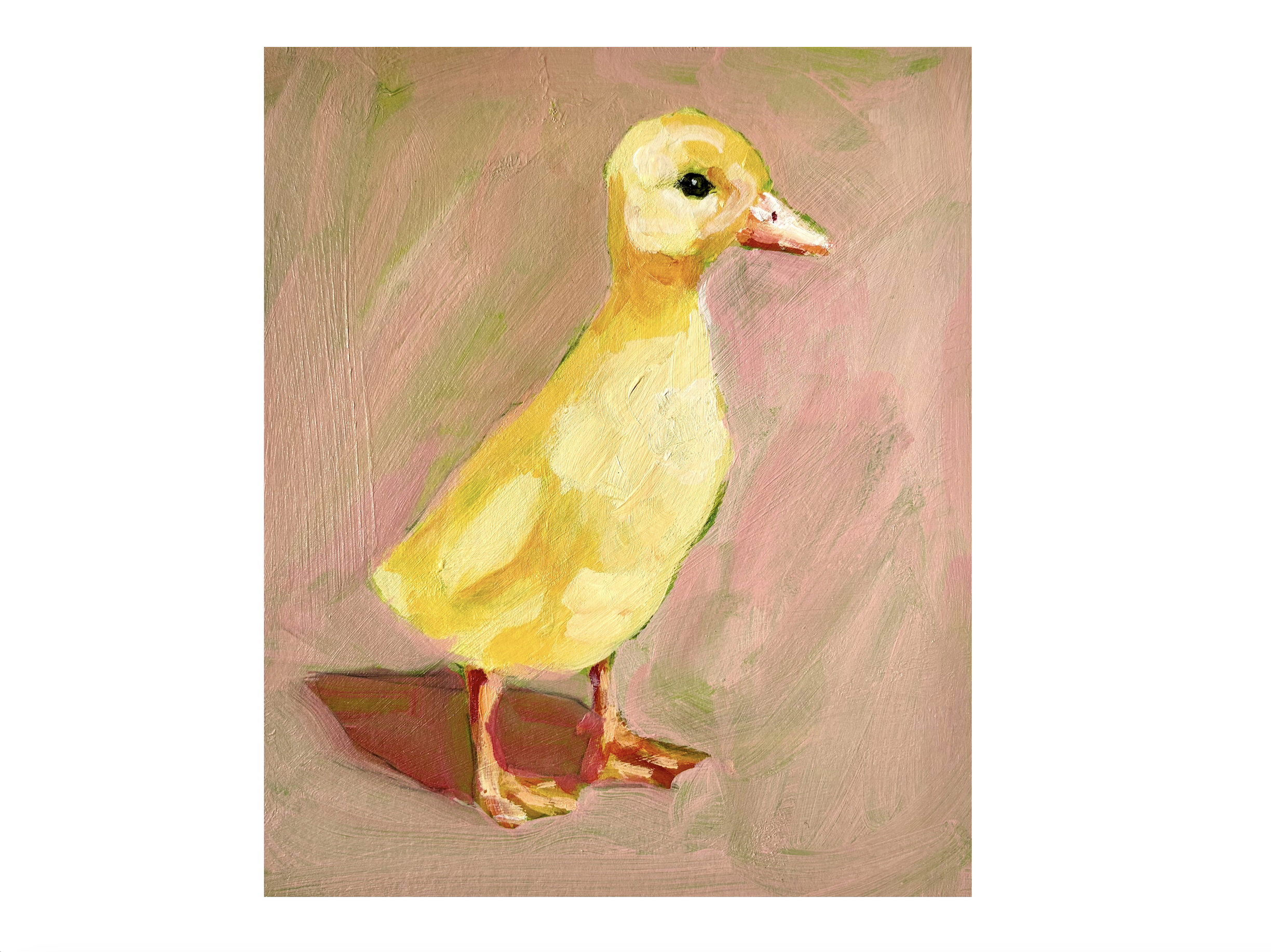 pink chick